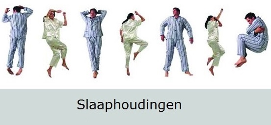 Koninklijke houding ,Molenwiek houding, Foetale houding,Flamingo houding, Nonnenhouding ,Aap houding,Vlinder houding slaaphouding